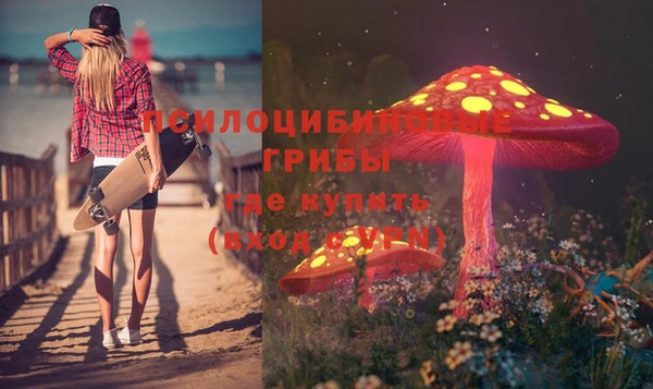 бошки Абдулино