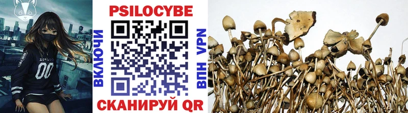 hydra вход  Мыски  Галлюциногенные грибы Magic Shrooms 